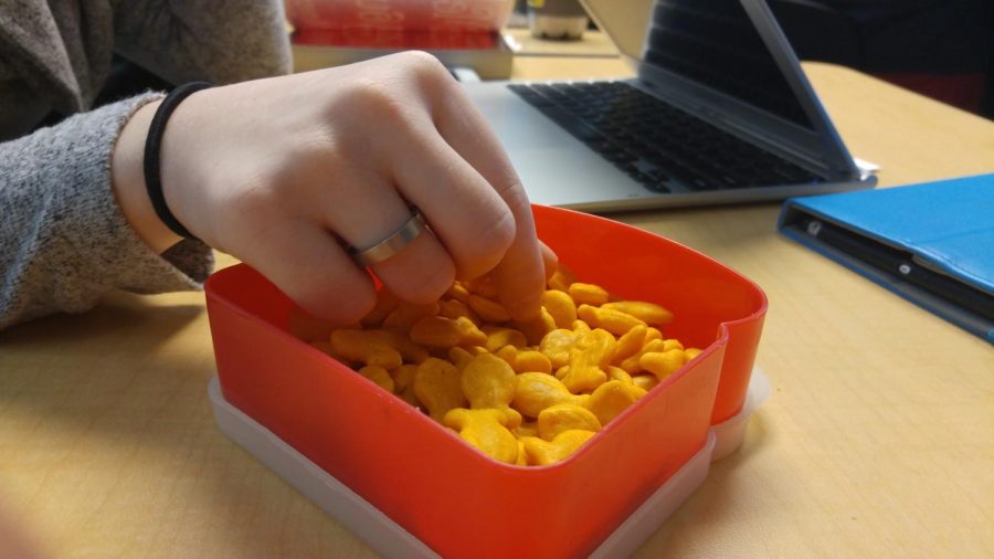 Student+reaching+into+a+tray+full+of+Goldfish.