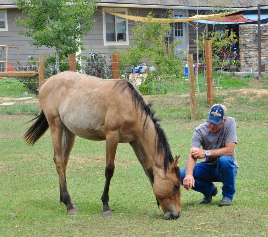 A veteran spending time with a horse at the ranch. 