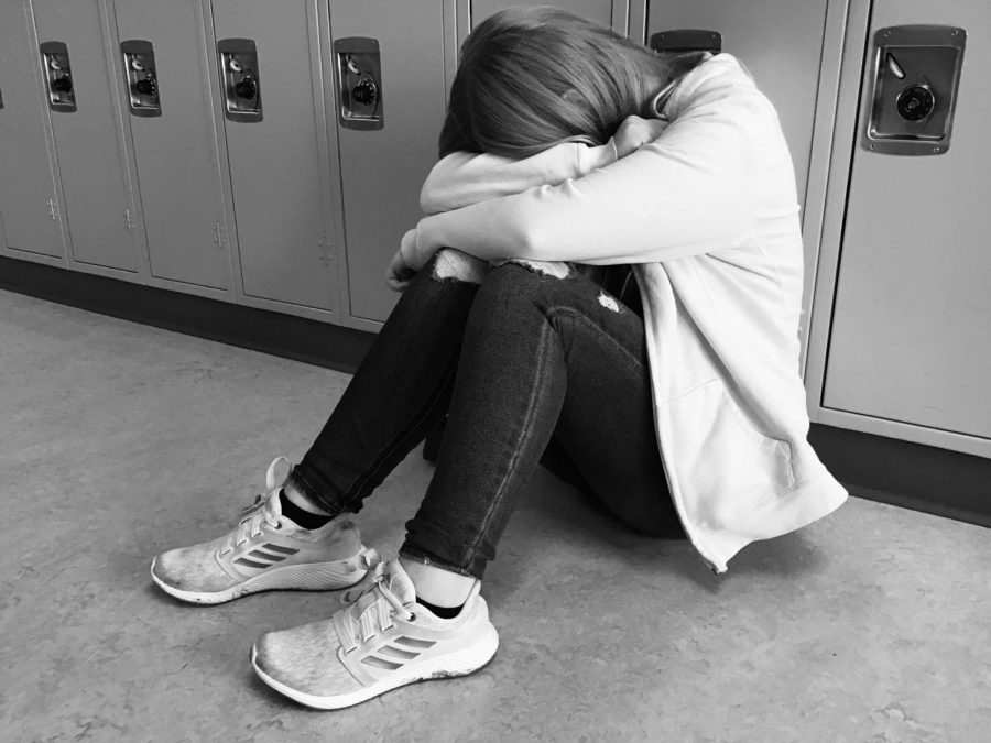 High school poses challenges that include friends, mental health, and school work in general.