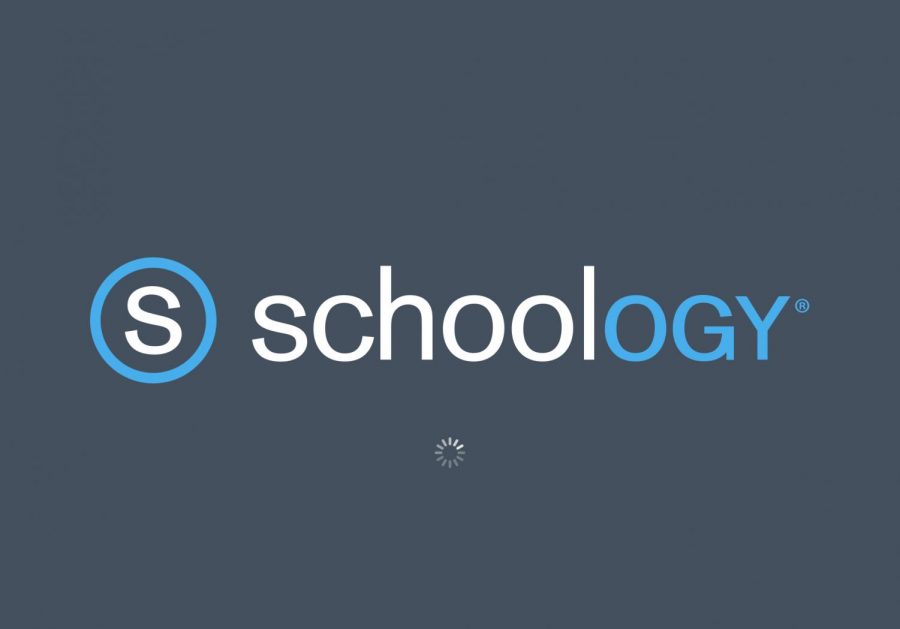 The+swarming+of+Schoology+has+caused+an+increased+usage+rate+of+almost+400%25.
