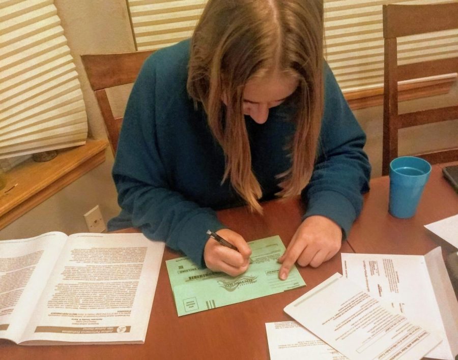 Mead senior Adah McMillan (‘21) fills out her Colorado ballot, consulting her blue book as she goes.
