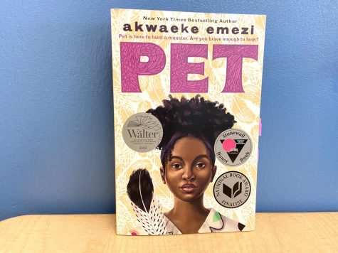 Emezi's Pet has won the Walter Dean Myers Honor Award for Outstanding Children's Literature and is a Stonewall Honor Book as well as a National Book Award Finalist. 