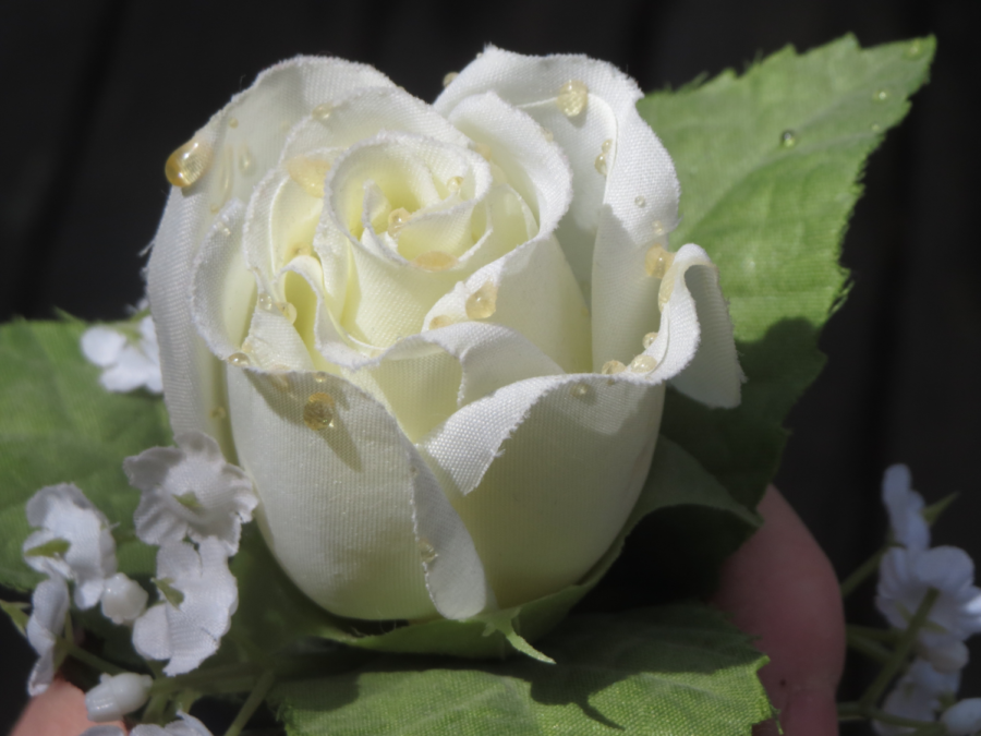 White felt rose 2