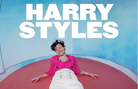 Harry Styles is a well known pop artist who has released hits like Watermelon Sugar and Adore You.