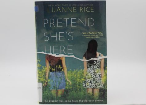 Pretend She’s Here was published by Luanne Rice in 2019.