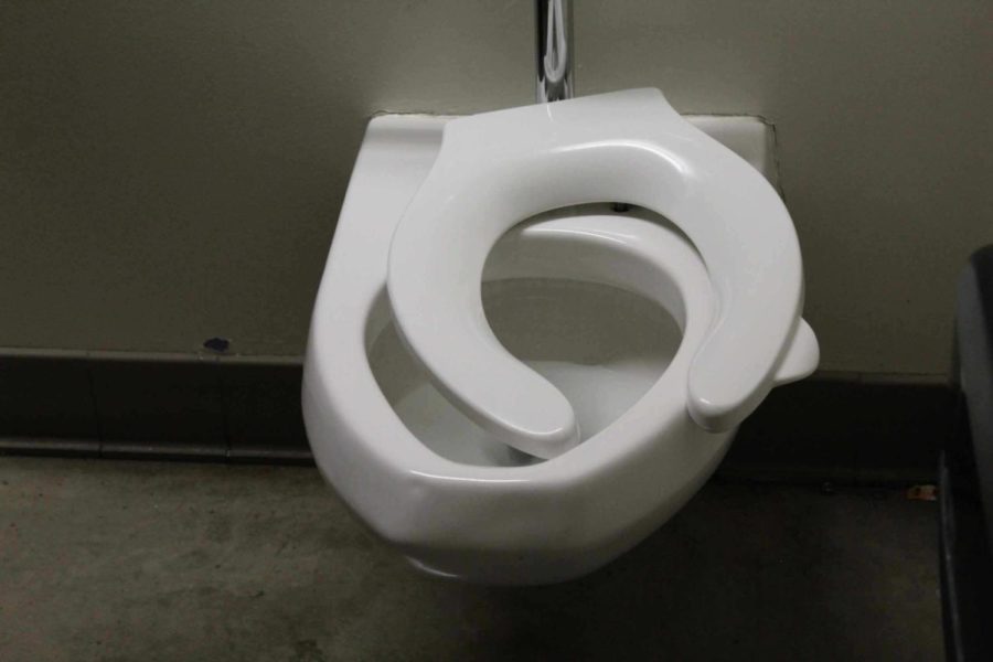 The lid to this big stall toilet seat barely holds on.