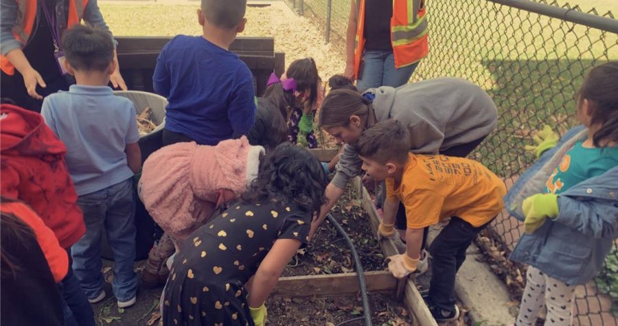 Elementary+students+at+Columbine+clean+up+garden+beds+as+a+part+of+the+Farm+to+School+program.