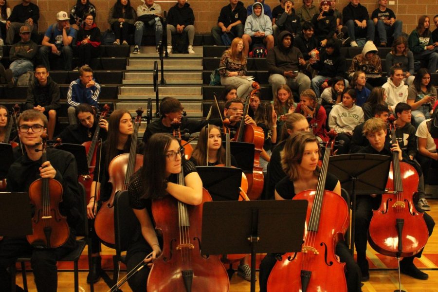 Veterans Day assembly orchestra