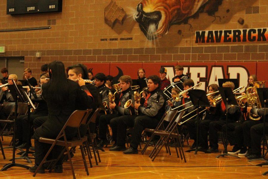 band during Veterans Day assembly