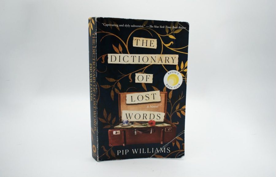 the dictionary of lost words by pip williams