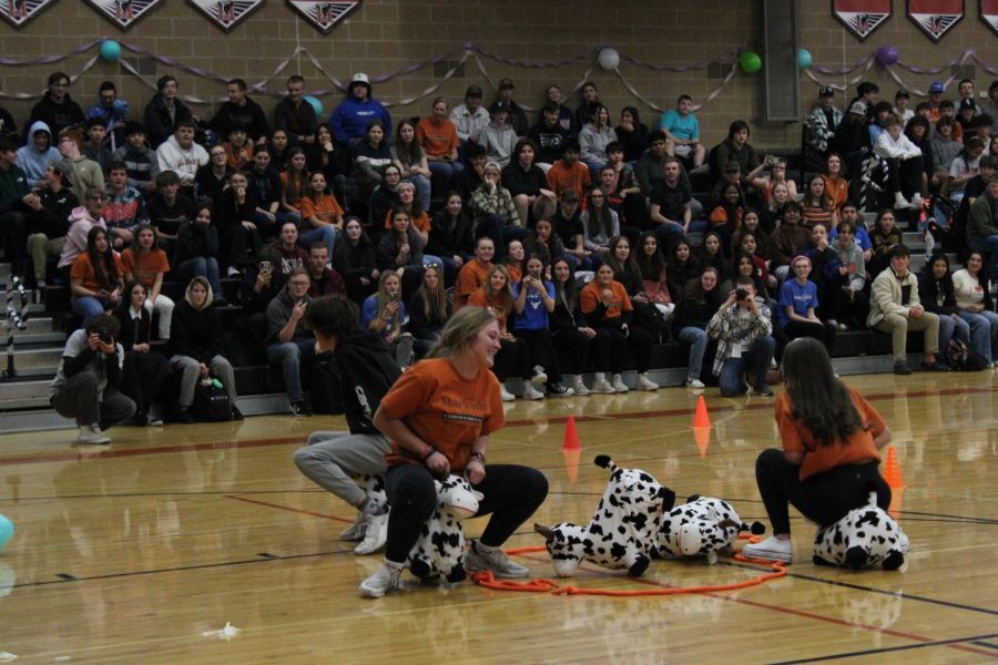 One of the student games was a cow obstacle course.
