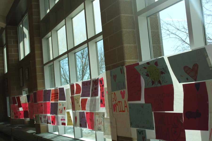 In Mav20 classes, seniors were asked to create posters for Mila that lined the hallway to the gym.