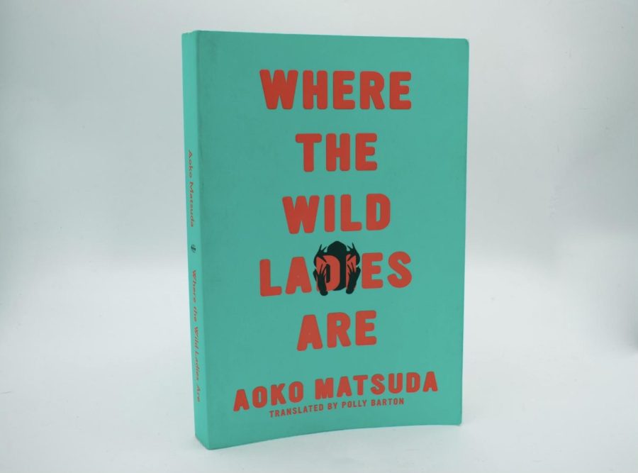 where the wild ladies are by aoko matsuda