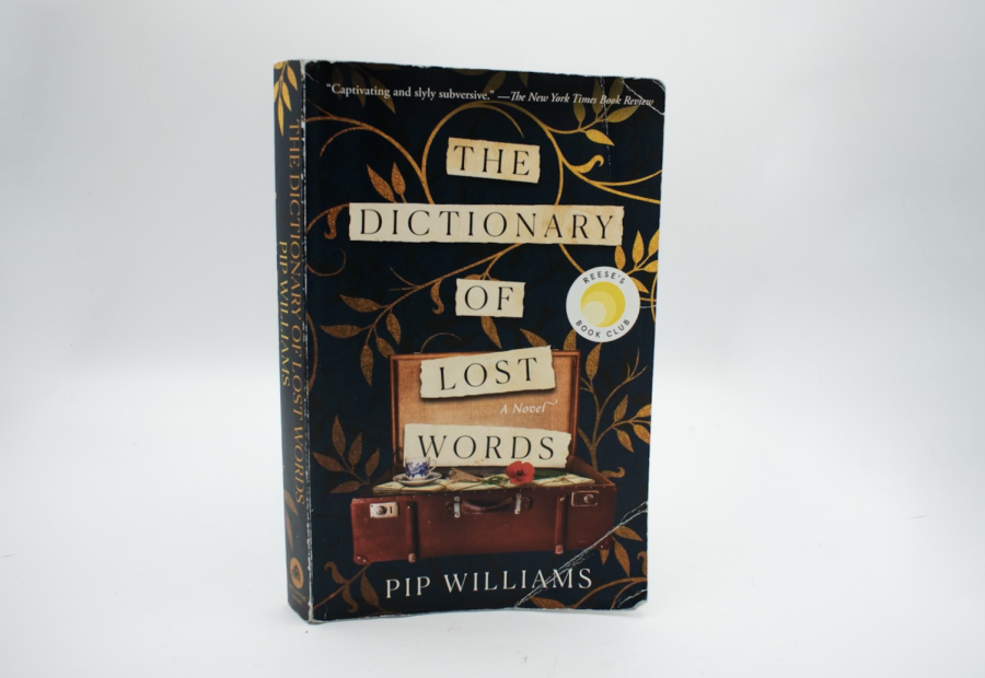 the dictionary of lost words by pip williams