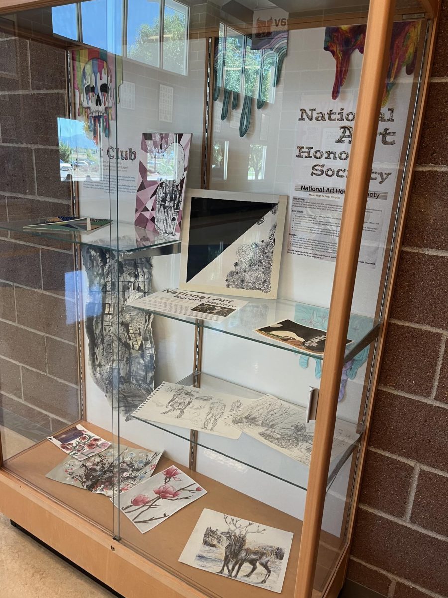 NAHS showcases their artwork in the trophy case outside of E wing