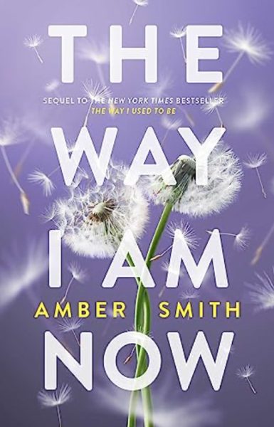 Amber Smith’s book was an intriguing read that kept me on the edge of my seat.