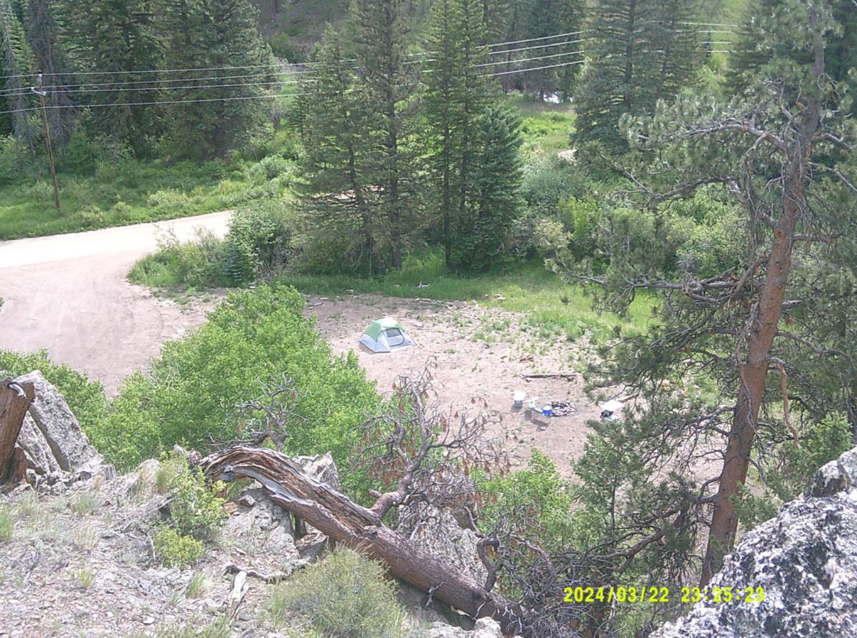 We set up camp right away (in an irritated manner – two hours in a car in the heat is not the best), and spent the remaining hours of sunlight left walking around picking up sticks for the fire that night, exploring and swinging in our hammocks.