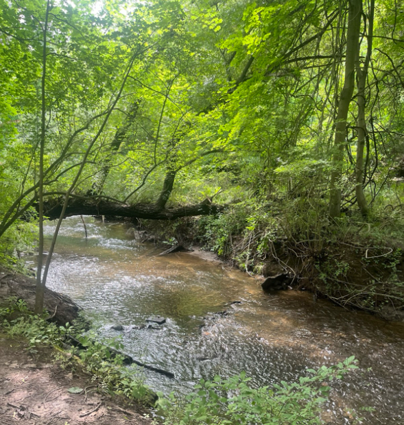 Everytime we make a trip back up to the North, my family strives to get out on at least two hikes. When most people think of New York, they think of the old, grey city. Not a lot of people venture outside the concrete jungle to see the gorgeous Adirondack Mountains, the Erie Canal, or the finger lakes. 