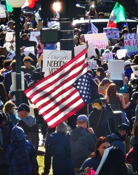 With flags and signs, protesters make their message heard. 
