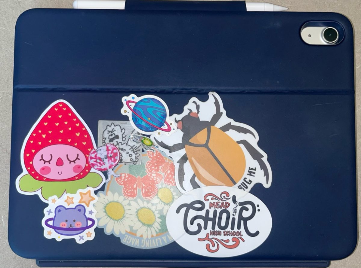 Olive Koslovsky (‘26) has a Mead choir sticker as well as bug stickers, expressing her love for bugs and singing.
