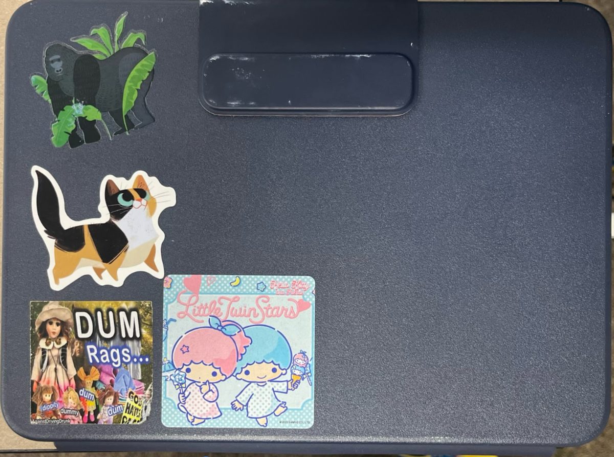 Jacob Morales (‘26) expresses his love for cats and apes alike through the stickers on his iPad, as well as other cute stickers.
