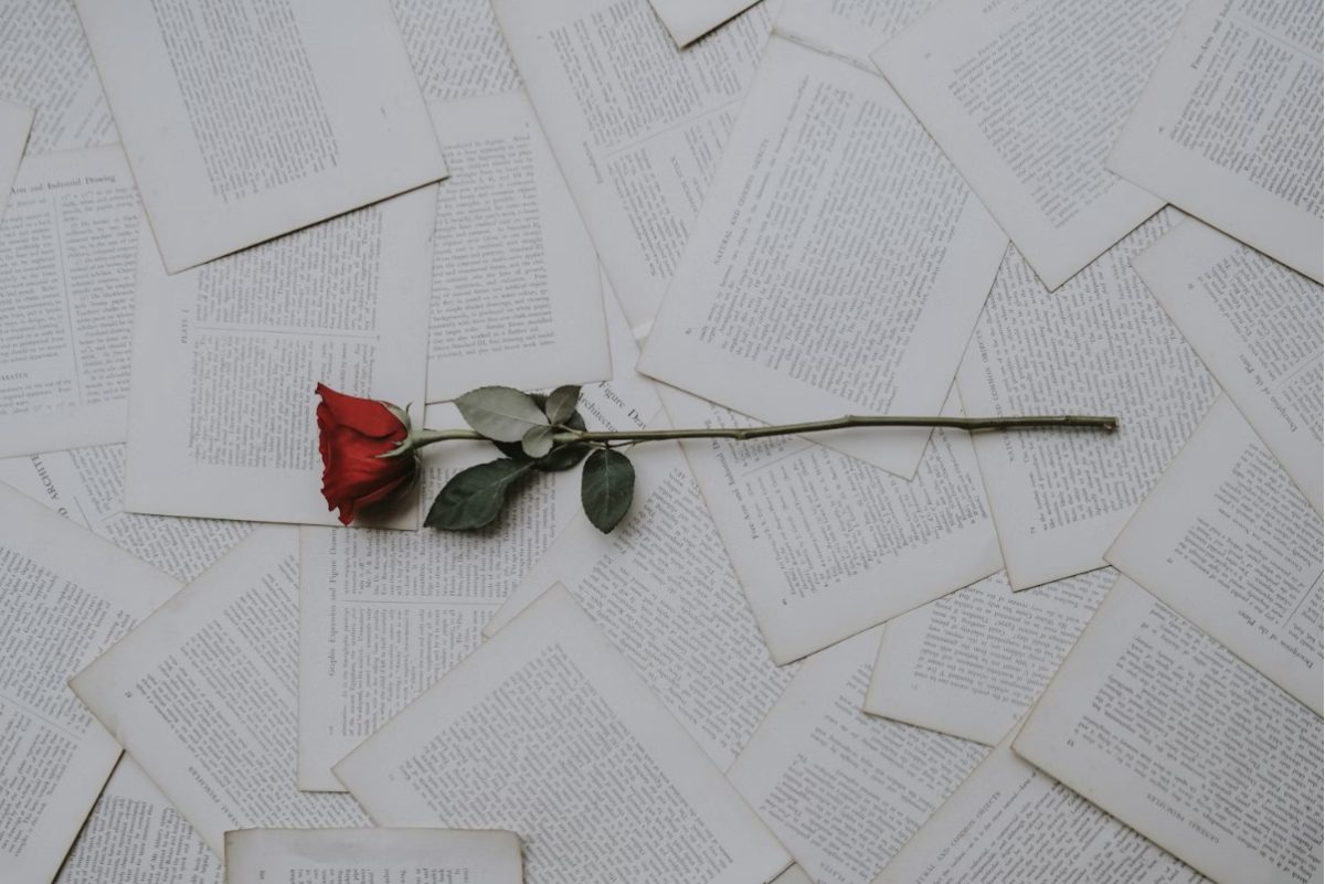 A rose can’t choose who touches its petals, but it still learns to grow thorns. Image courtesy of Annie Spratt on Unsplash.
