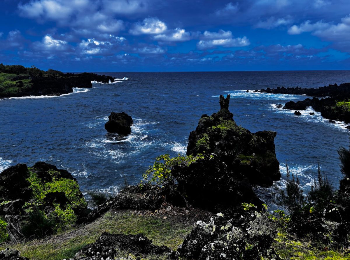 This picture was taken at the black sand beach in Honokalani Hawaii. This is the most vibrant green and blue picture, and all of the colors compliment each other perfectly.