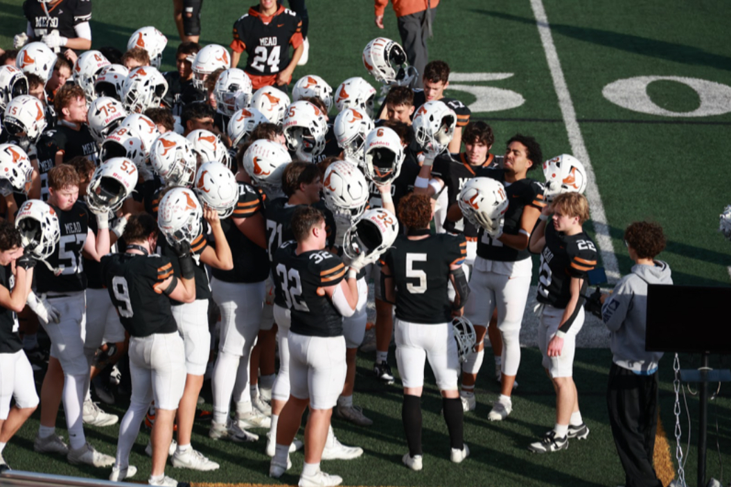 The Mavericks celebrate their first-round win over Lewis-Palmer. Photo courtesy of Tonya Noe.