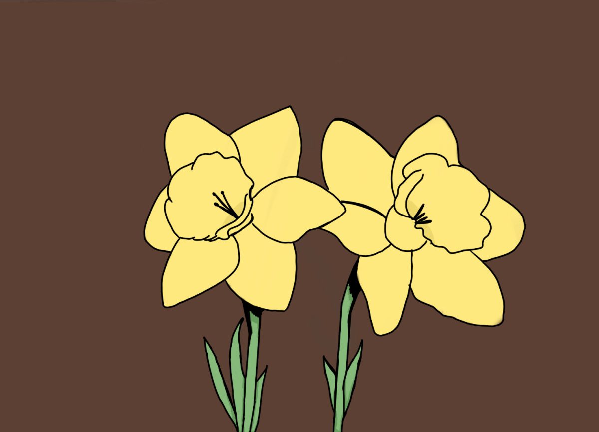 Golden daffodils will forever belong to you.