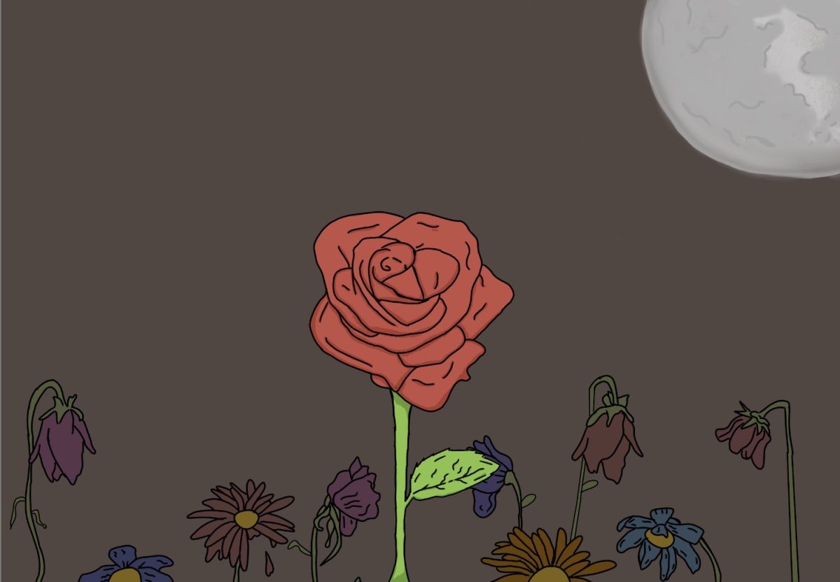 “I planted myself inside of you and waited to bloom. And it didn’t take me no 18 years to find out the soil was hard and rocky…” Rose in Act two scene one of the play ‘Fences.’