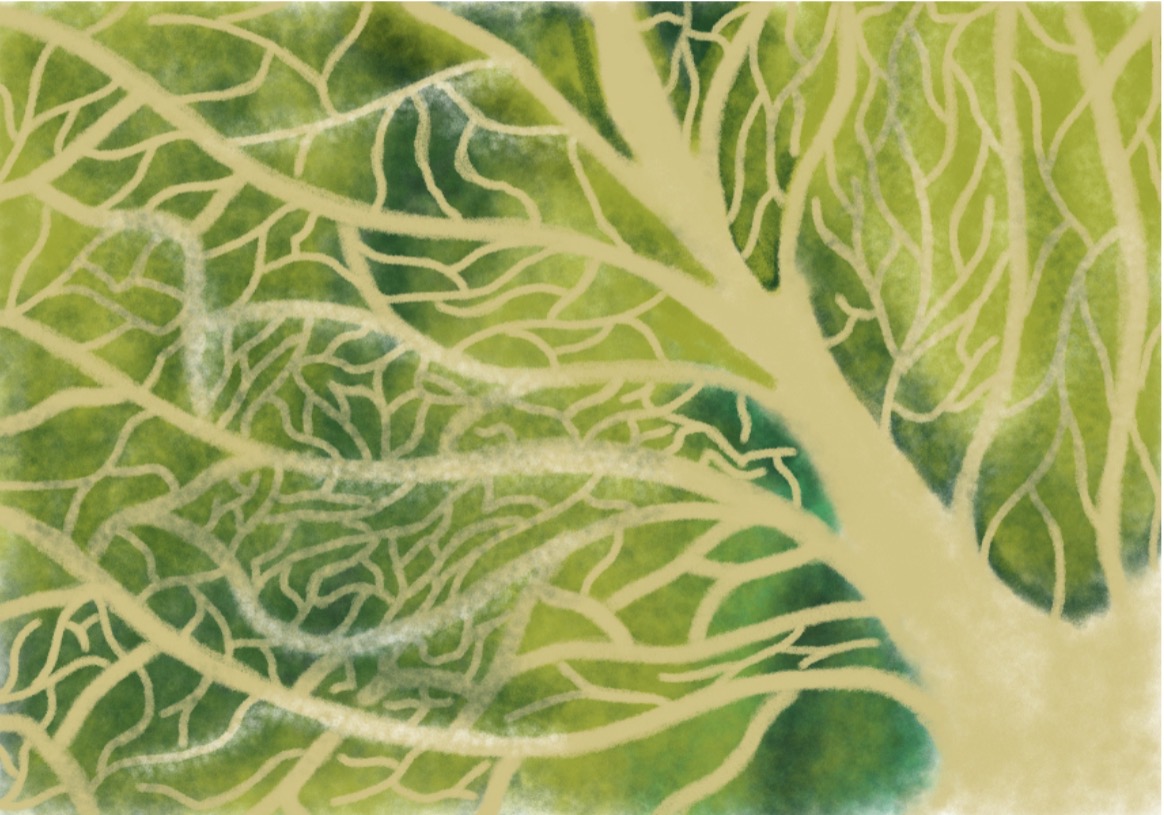 The veins in leafy greens mirror the veins that run throughout our body — we are all connected and one on earth.